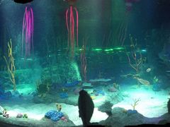 -沈阳海洋探索中心