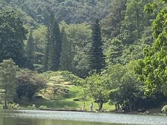 -深圳仙湖植物园