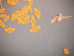 -京尊烤鸭店JINGZUN(春秀路店)