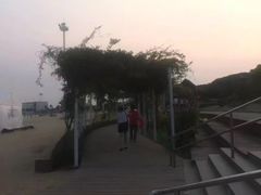 -碧海金沙