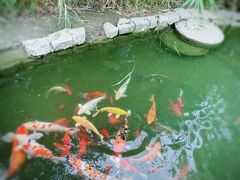 -三里河公园