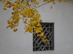 -东山风景区(洞庭东山)