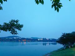 -羊山湖公园