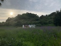 -南麂列岛