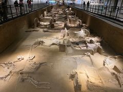 -洛阳周王城天子驾六博物馆