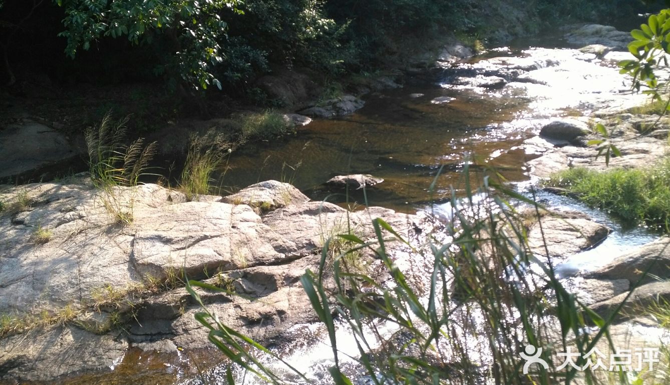 深圳景點攻略馬巒山郊野公園