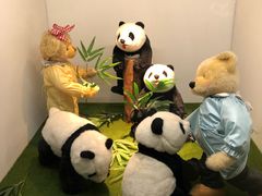 -成都泰迪熊博物馆