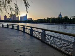 -莲花池公园