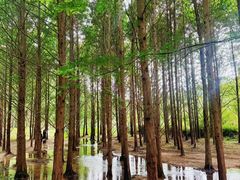 -天河潭旅游度假区