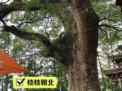 -安溪清水岩