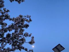 -古塔公园