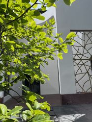 -ITB摩卡艺术中心·宝宝宴·活动