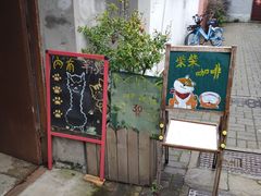 -猫色咖啡·猫咖