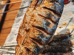 -熙成烧烤(白塔岭店)