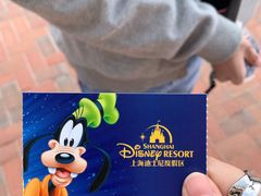 -上海迪士尼度假区