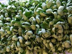 -水库活鱼馆(于桥水库店)