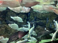 -成都浩海立方海洋公园