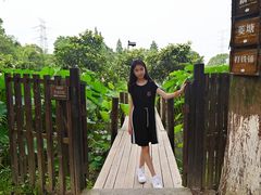 -乌村