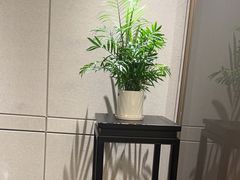 -同庆楼(天鹅酒家店)