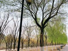 -永定河休闲森林公园