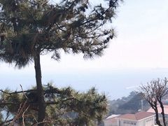 -青岛海滨风景区小鱼山