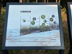 -坝光海滩