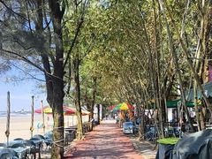 -江山半岛白浪滩景区
