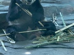 -泉州海丝野生动物世界