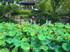 -马庆安羊汤馆(总店)