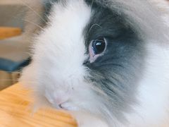 -小意思咖啡店(草桥店)