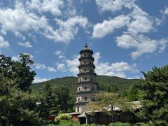-晋祠公园