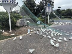 -琅岐红光湖公园