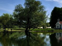 -上海共青森林公园