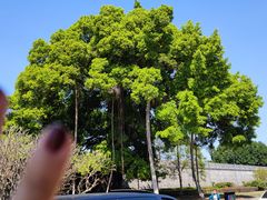 -潮州古城