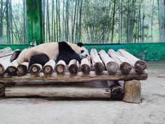 -杭州野生动物世界