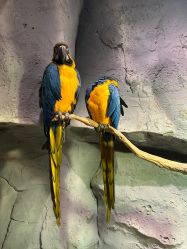 -Zoolung Zoolung动物主题公园(海信广场店)