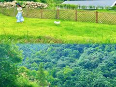 -石台牯牛降景区