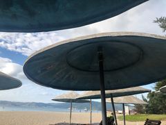 -三亚亚龙湾金棕榈度假酒店