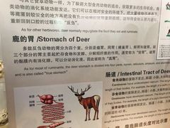 -北京麋鹿生态实验中心
