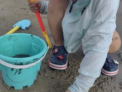 -红树林天天赶海