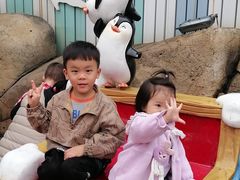 -海合安成都极地海洋公园