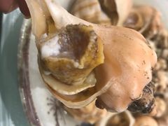 白灼大海螺-北塘海鲜·天津菜(大光明桥旗舰店)