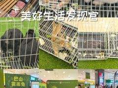 -伊藤洋华堂(高新店)