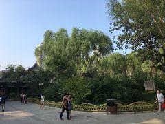 -文瀛公园