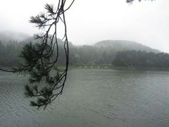 -庐山风景区花径公园