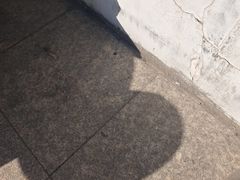 -索拉古贝(义乌北苑店)
