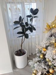 -HEYAN荷妍专业脱毛连锁机构