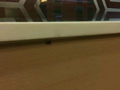 -永和大王(中关二店)