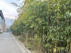 -太白山御龙湾温泉