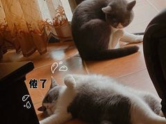 -鱼篮仔·潮汕美食(圆明新园店)